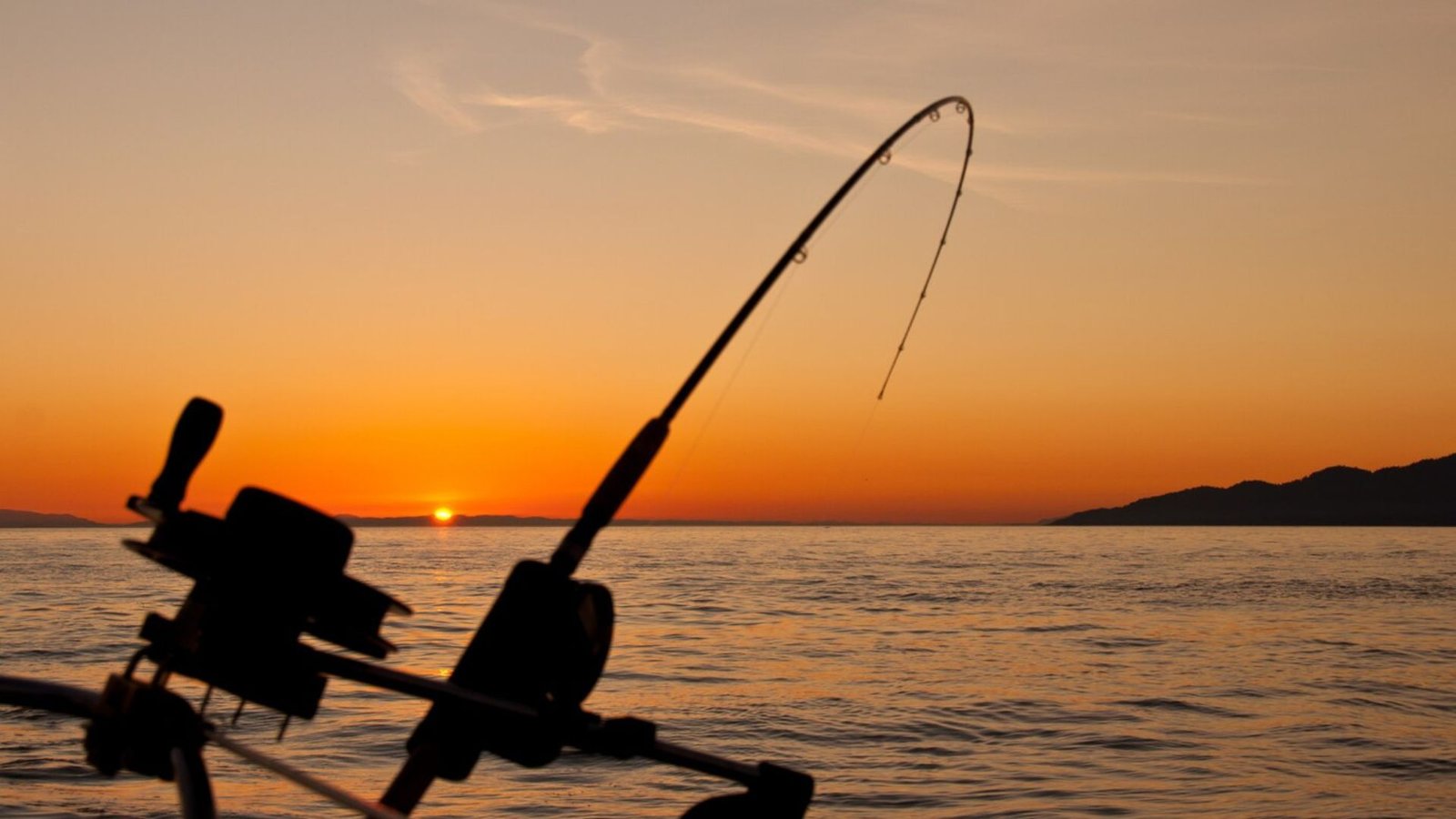 sunset landscape with a fishing rod